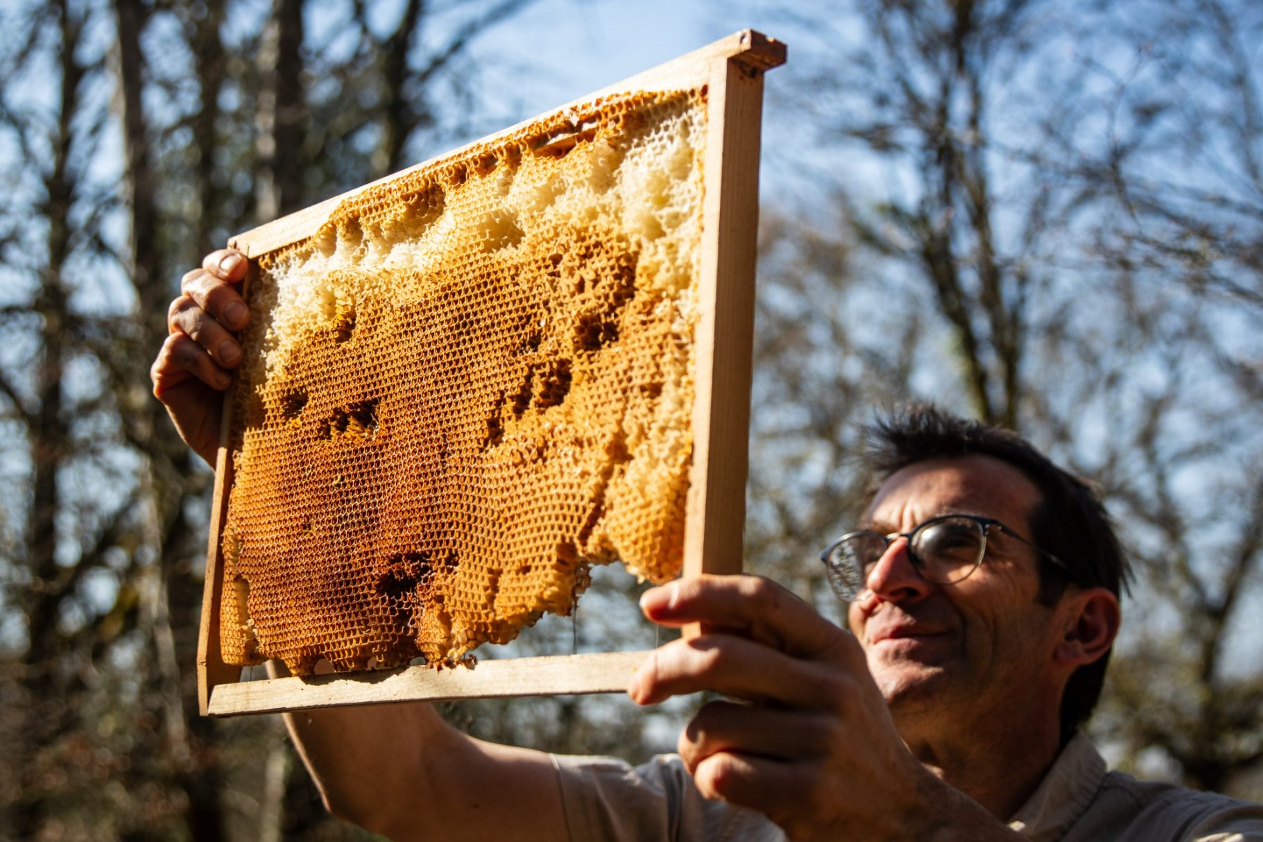 Atelier Abeilles