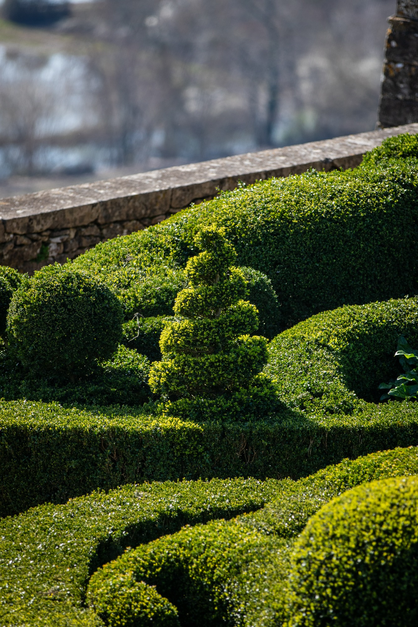 Buis de Marqueyssac